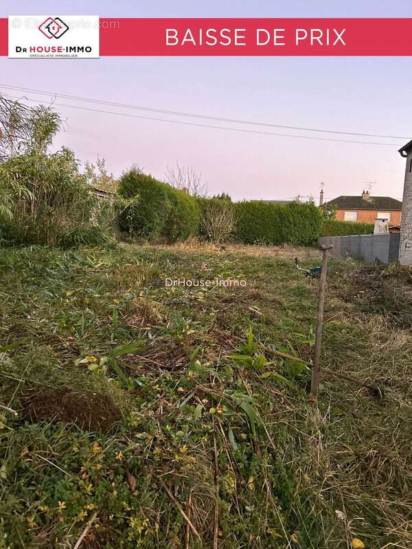 Terrain à AVESNES-LE-SEC