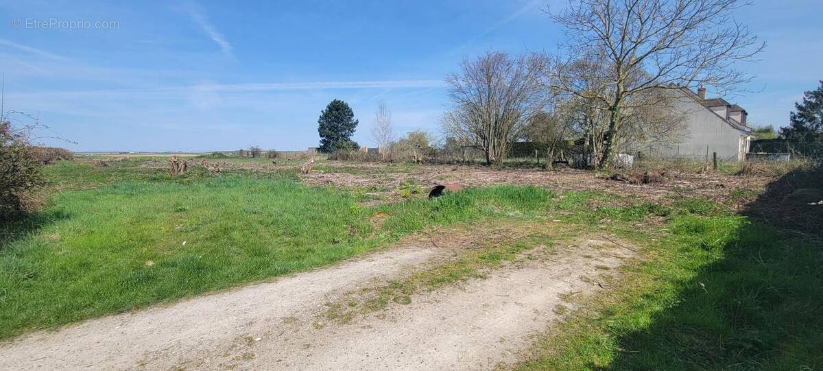 Terrain à HEMEVILLERS