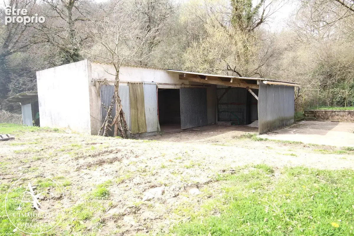 Maison avec dépendances et 10 000 m2 de terrain agricole. - photo 3