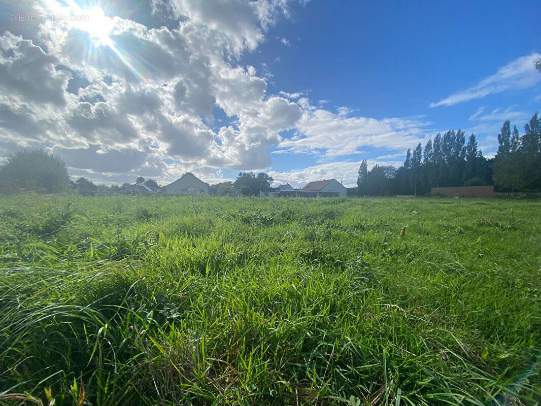 Terrain à GOUPILLIERES