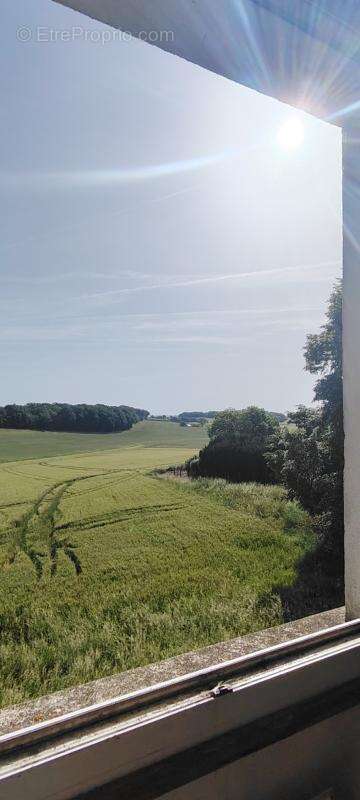 114 m2 habitables sur sous-sol complet, 4 à 5 chambres, terr - photo 8