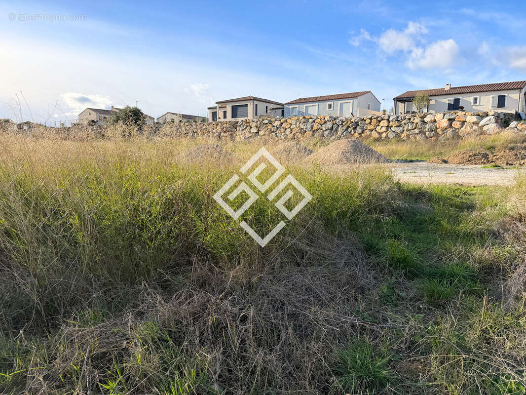 Terrain à BIZE-MINERVOIS