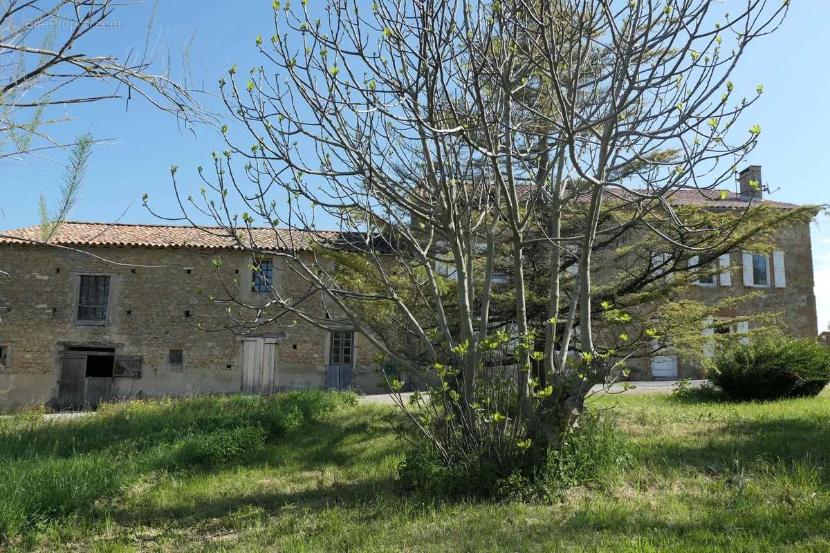Maison à SAINT-FELIX-LAURAGAIS