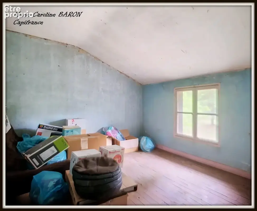 Propriete maison bois prairies buzancais (36) - photo 18