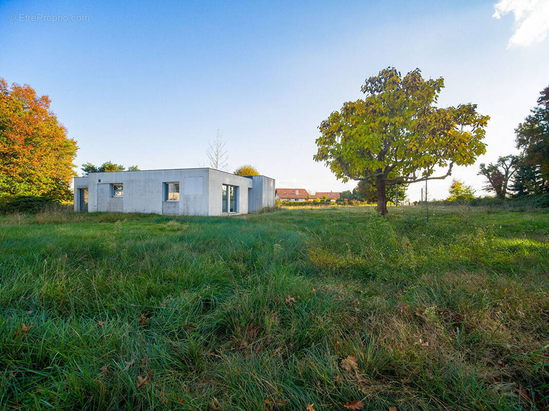 Commerce à AIRE-SUR-L&#039;ADOUR