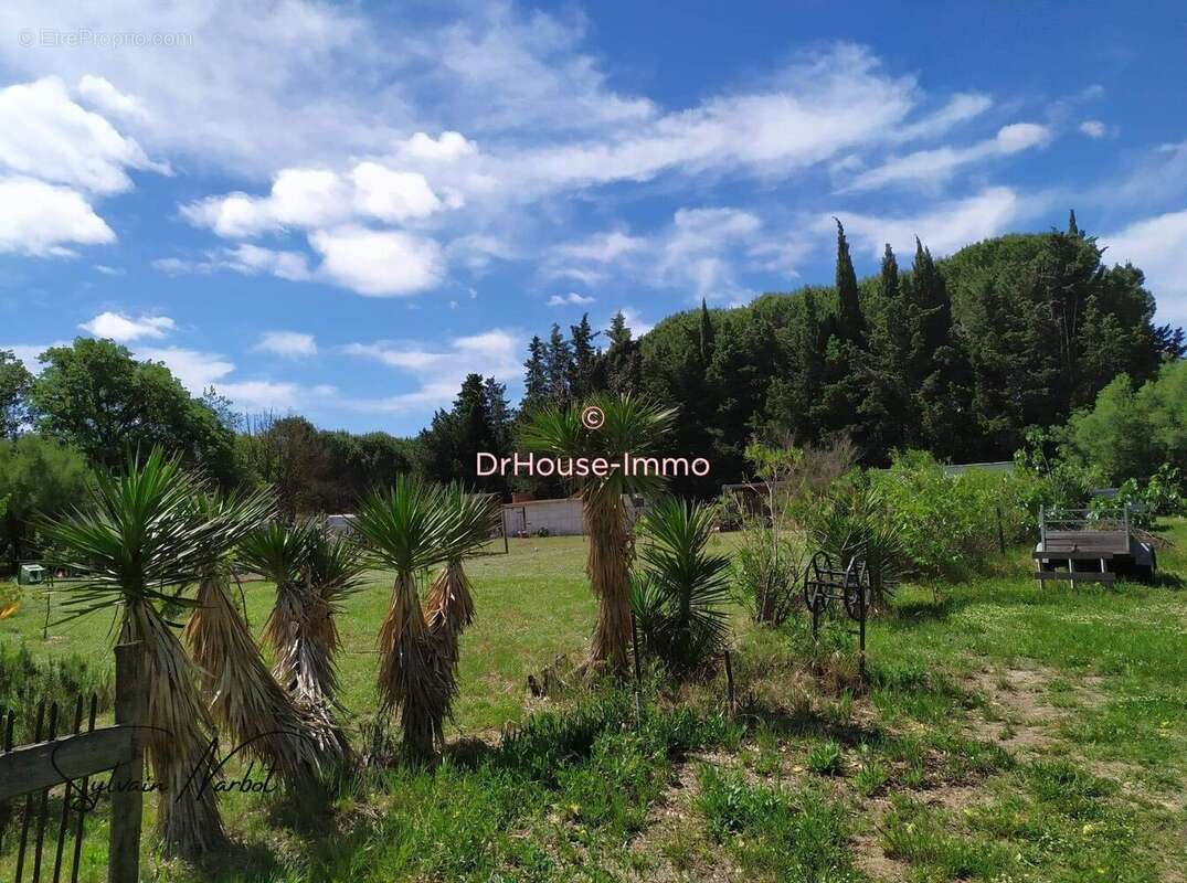 Maison à AIGUES-MORTES