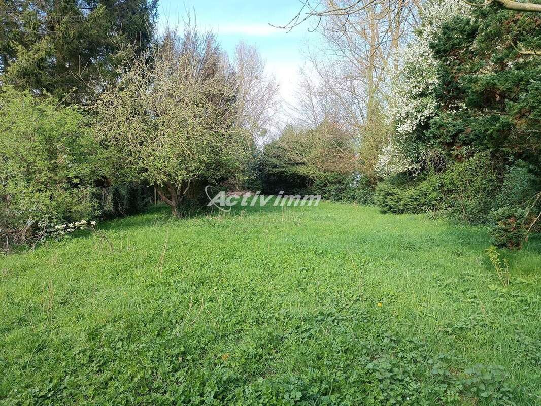 4258 23 - Maison à HESDIN