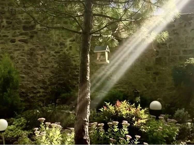 Maison à AVILLY-SAINT-LEONARD