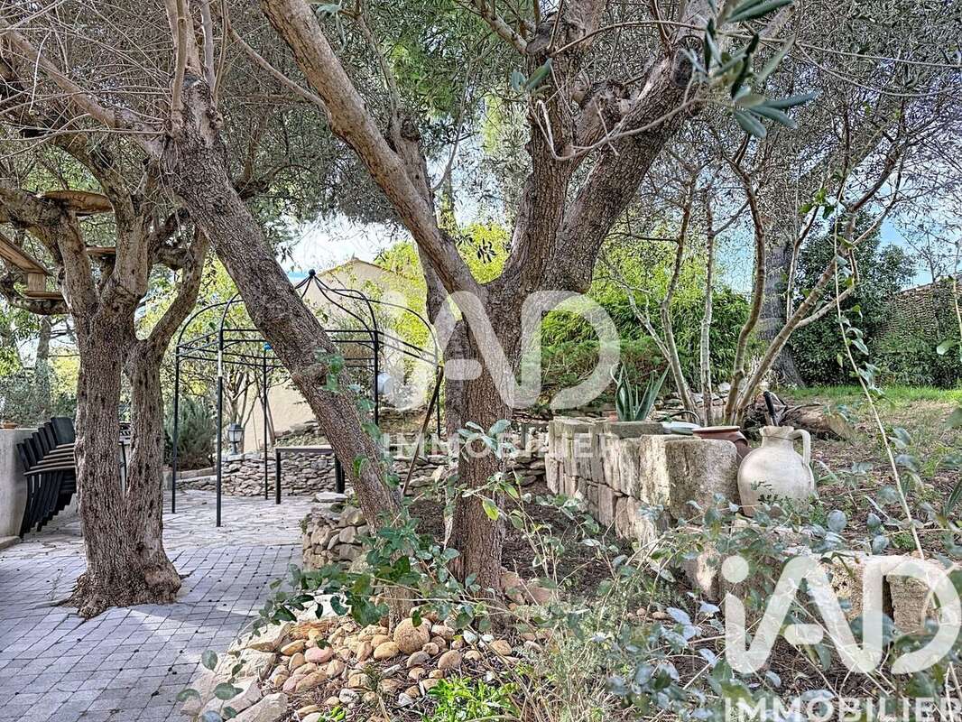 Photo 7 - Maison à BEAUCAIRE