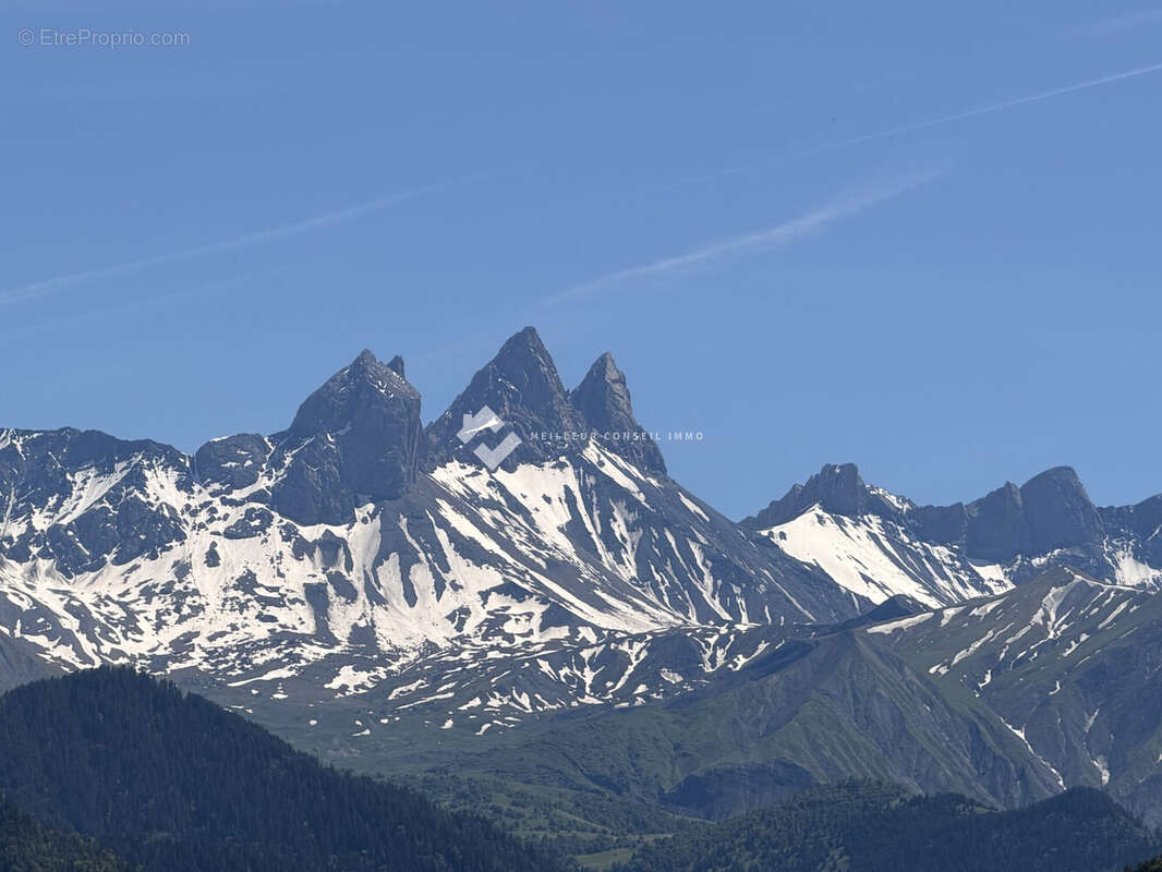 Terrain à JARRIER