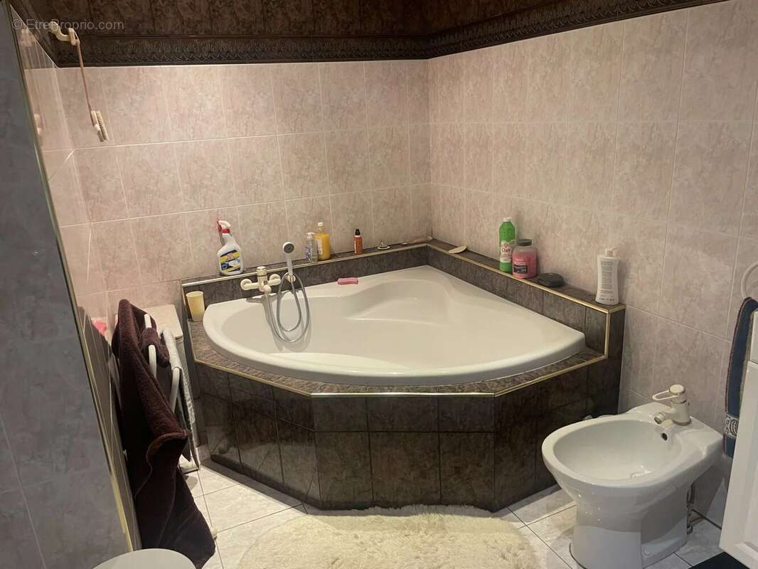MAISON DE MAITRE avec un jardin , une piscine, une maison T3 - photo 8