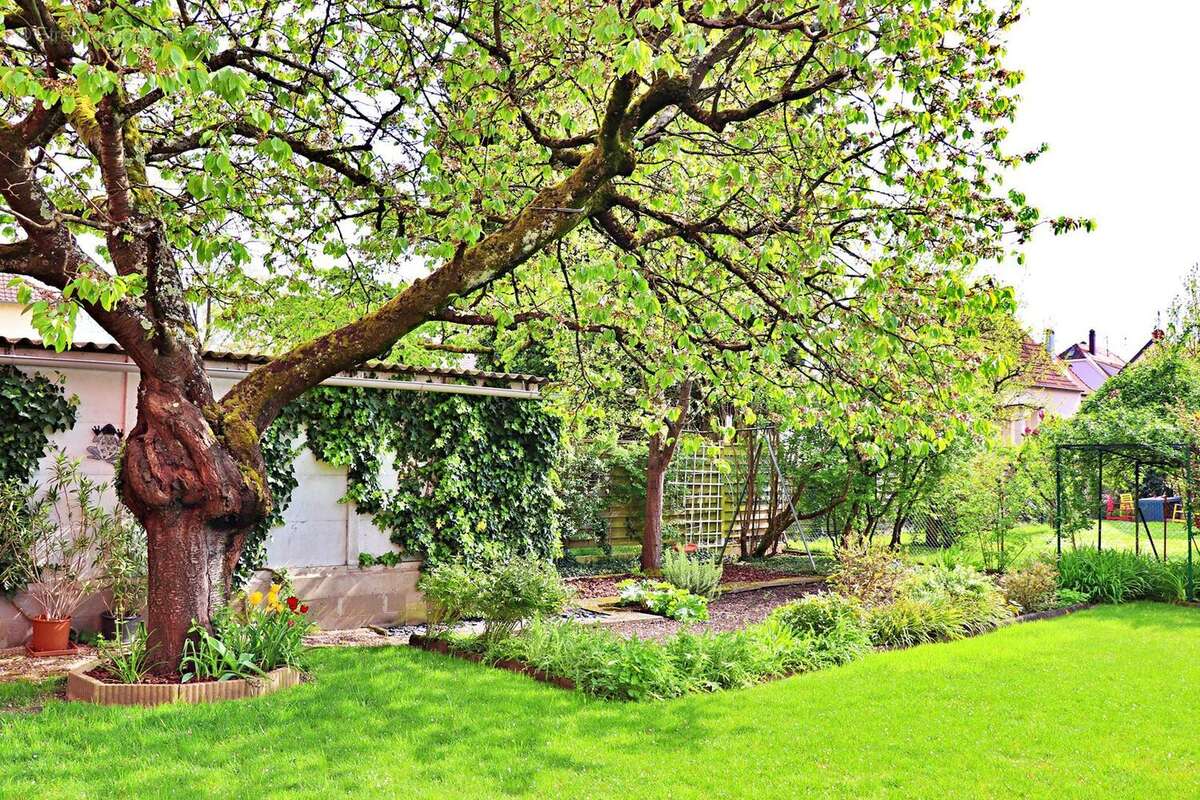 Maison à STRASBOURG