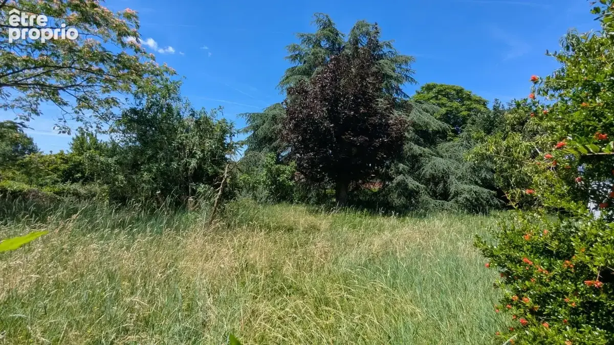 Terrain 685 m² à vendre à Albi (81000) - photo 5