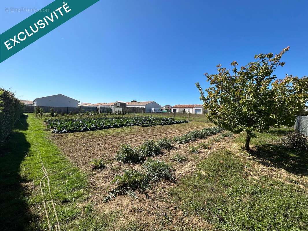 Photo 2 - Terrain à LONGEVILLE-SUR-MER