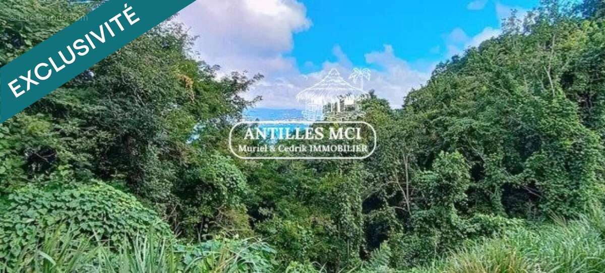 Photo 2 - Terrain à LES ANSES-D&#039;ARLET