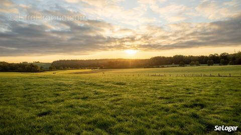 Terrain à TELGRUC-SUR-MER