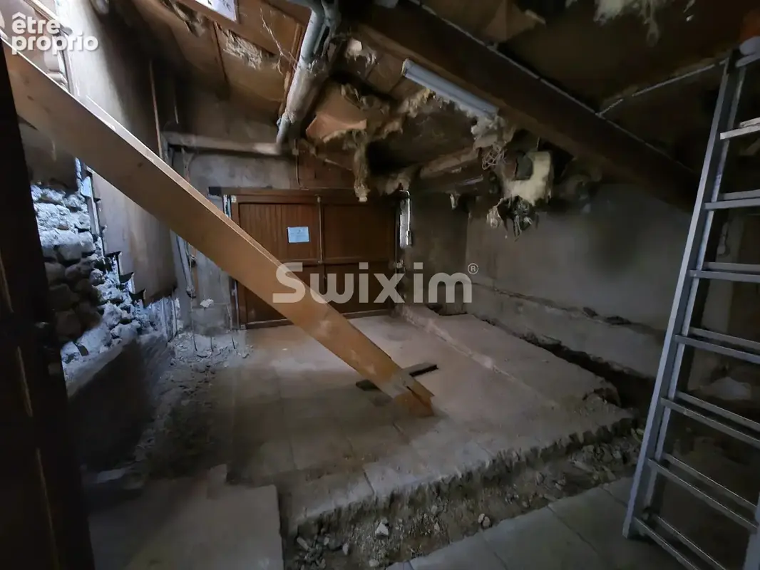 Maison à rénover avec 5 500 m² de terrain, calme, beau potentiel - photo 10