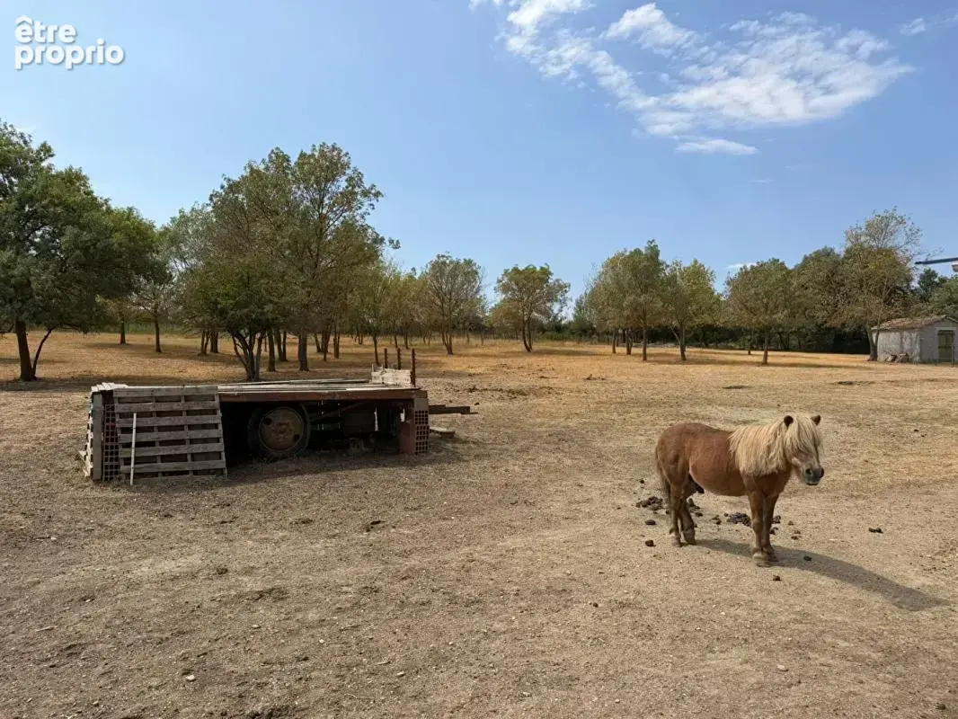 Maison de plain-pied avec piscine sur 3,65 hectares de terrain clos et arboré - photo 14