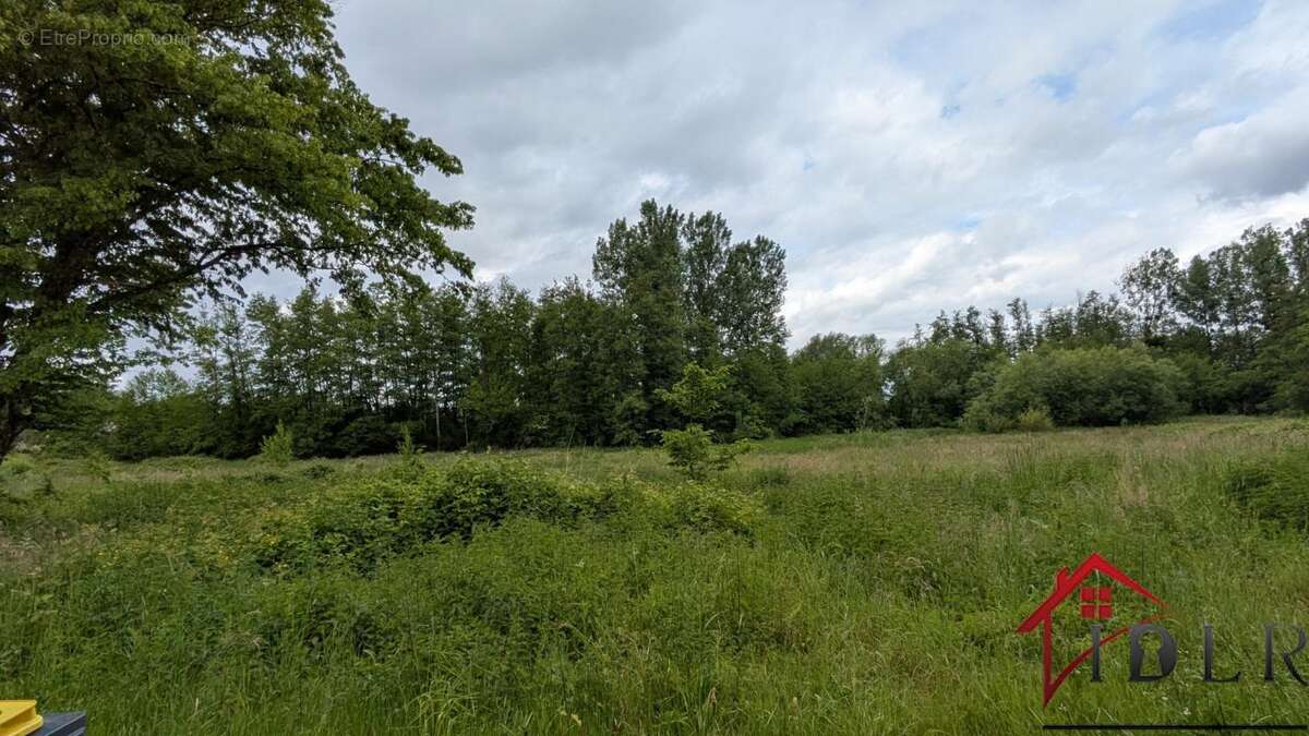 maison à rénover avec 13 000m2 terrain - photo 10