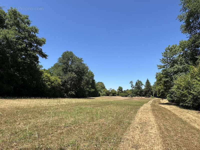 Magnifique moulin avec une piscine, des bois, verger, prairie et piscine couverte- pas des voisins proches - photo 16