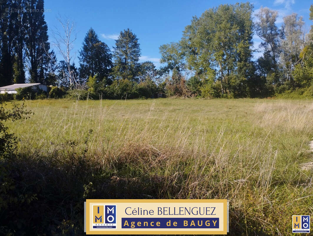Terrain à BAUGY