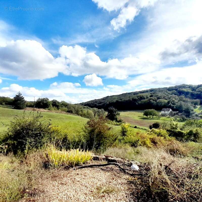 Maison à VILLENEUVE-SUR-YONNE