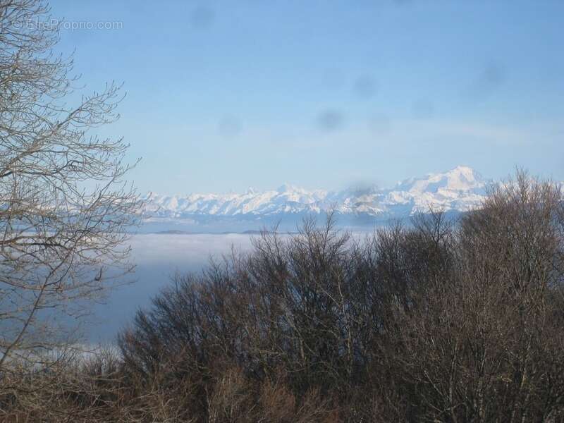 Dpt Ain (01), à vendre ORDONNAZ magnifique appartement T4 de 72 m² avec terrain privatif de 141 m² - photo 58
