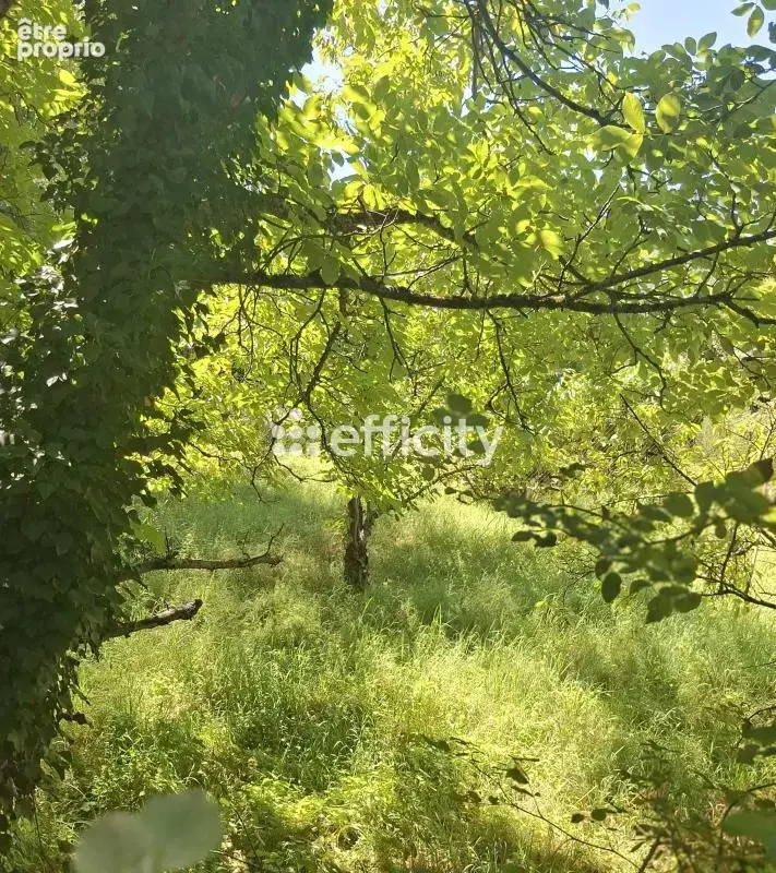 Terrain 963 m² à vendre à Vesoul (70000) - photo 6