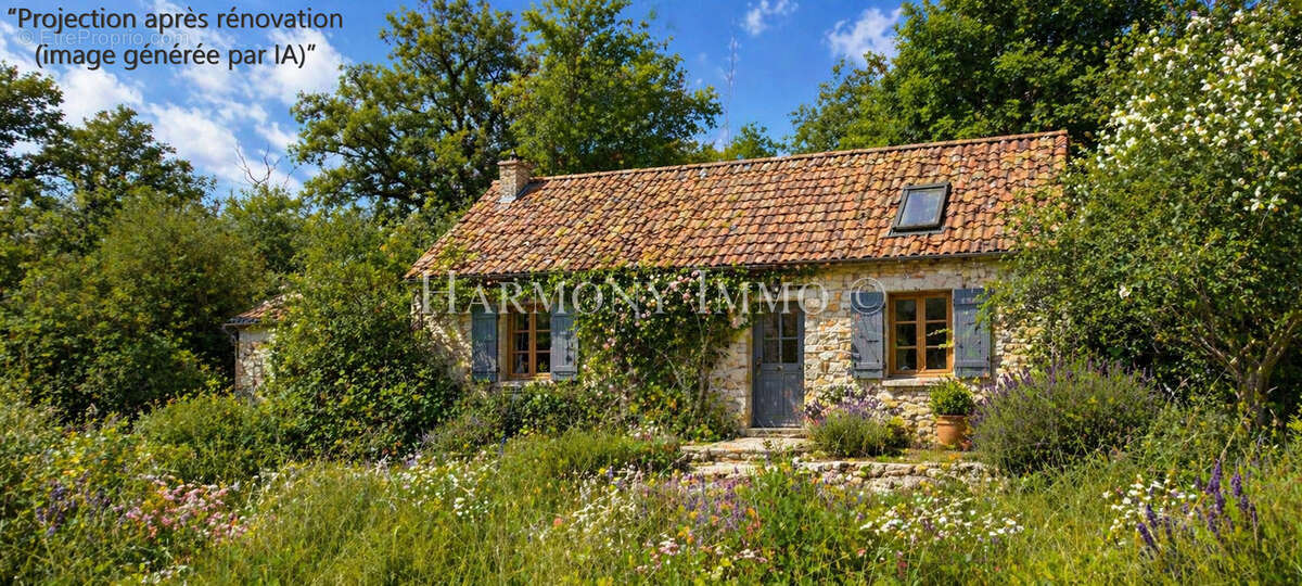 Maison à CHAMBON
