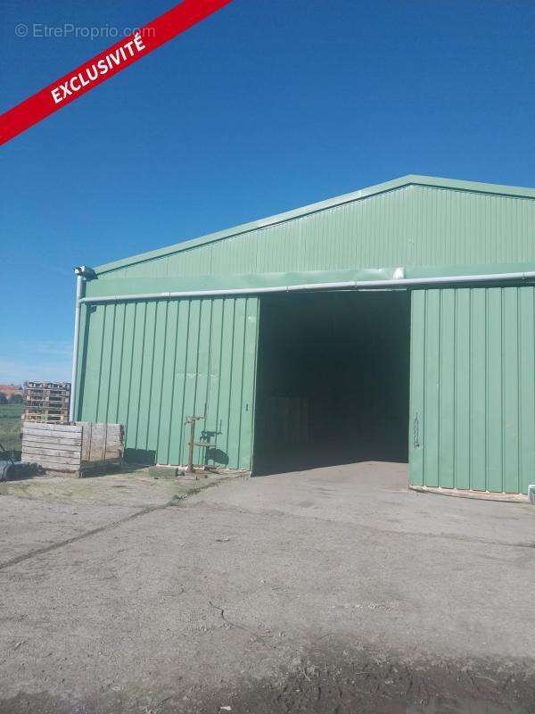 Hangar 500 m2 - photo 2