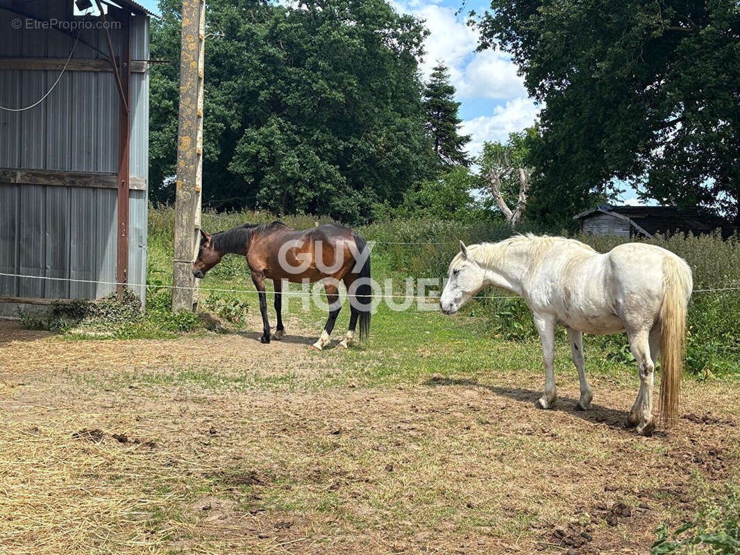 Maison à SAINT-JUDOCE