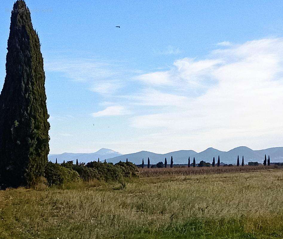 Maison à CAMARET-SUR-AIGUES