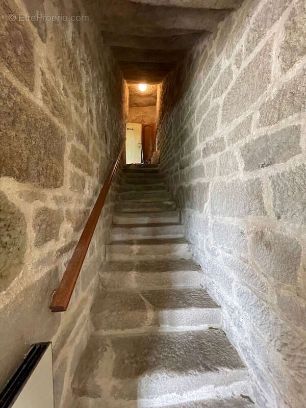 Photo 7 - Maison à NEDDE