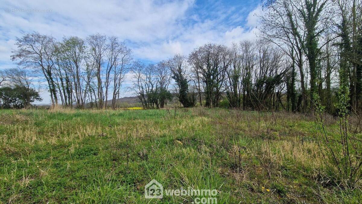 Terrain à bâtir d'une superficie de 2996 m² - Terrain à CHAMOUILLE