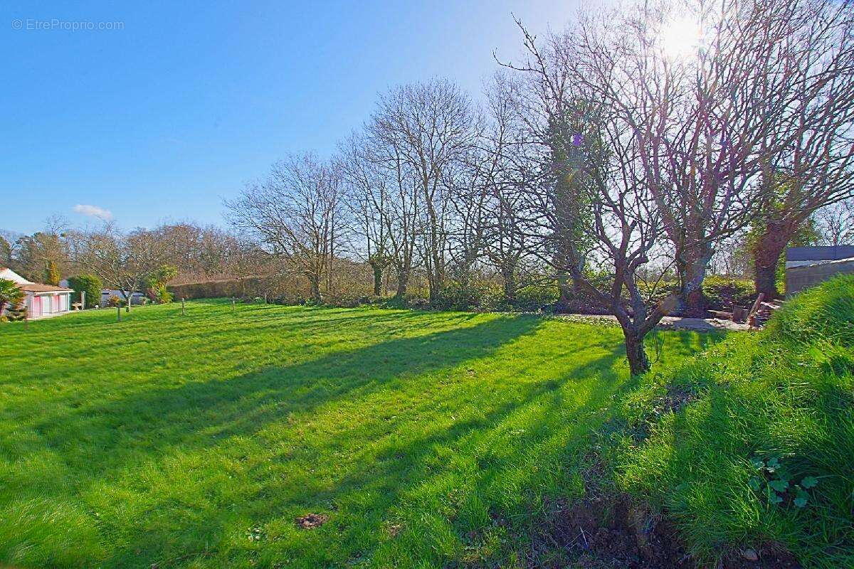 Terrain à SAINTE-FOY