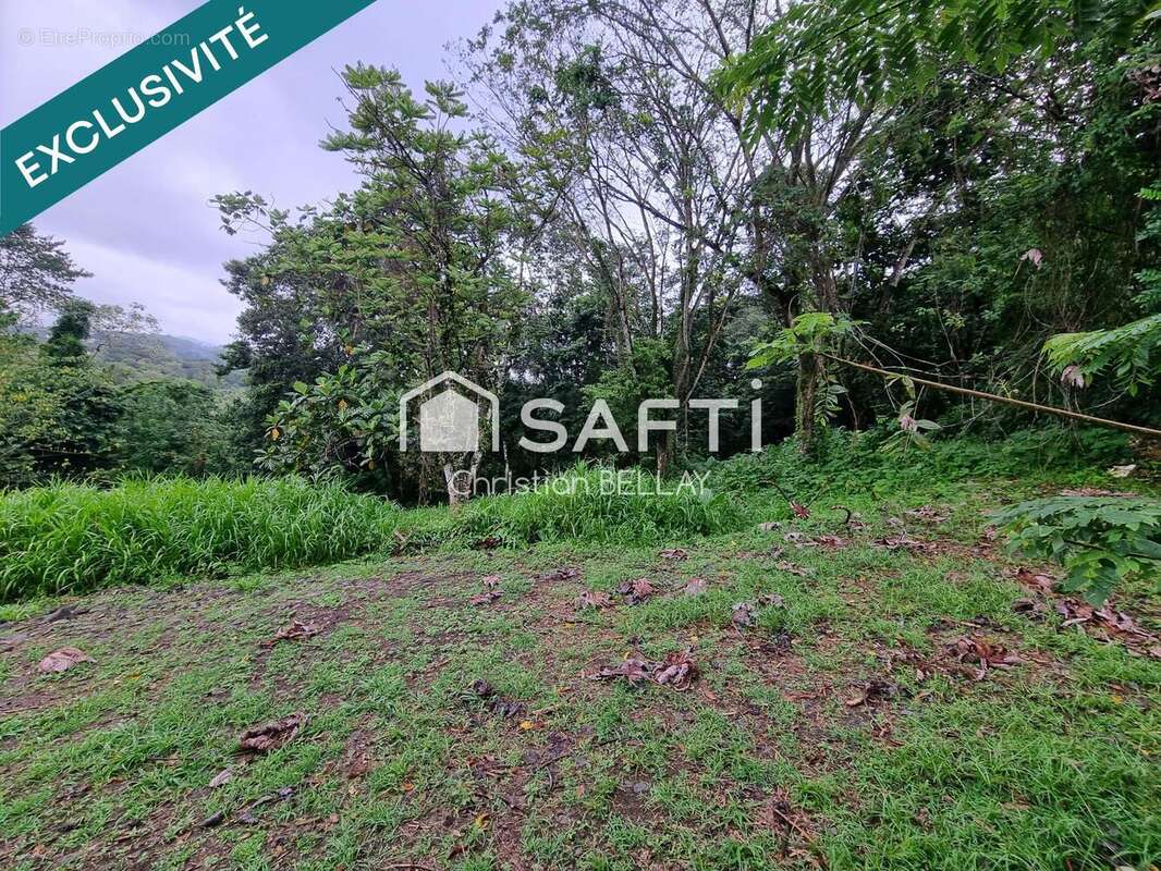 Photo 6 - Terrain à LE LAMENTIN