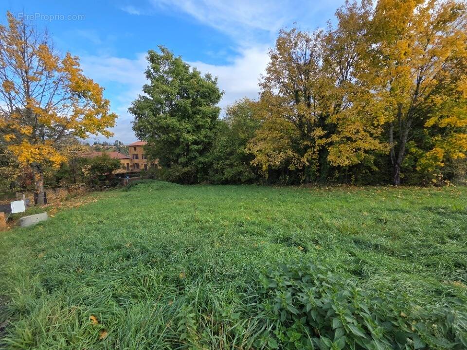 Terrain à VILLE-SUR-JARNIOUX