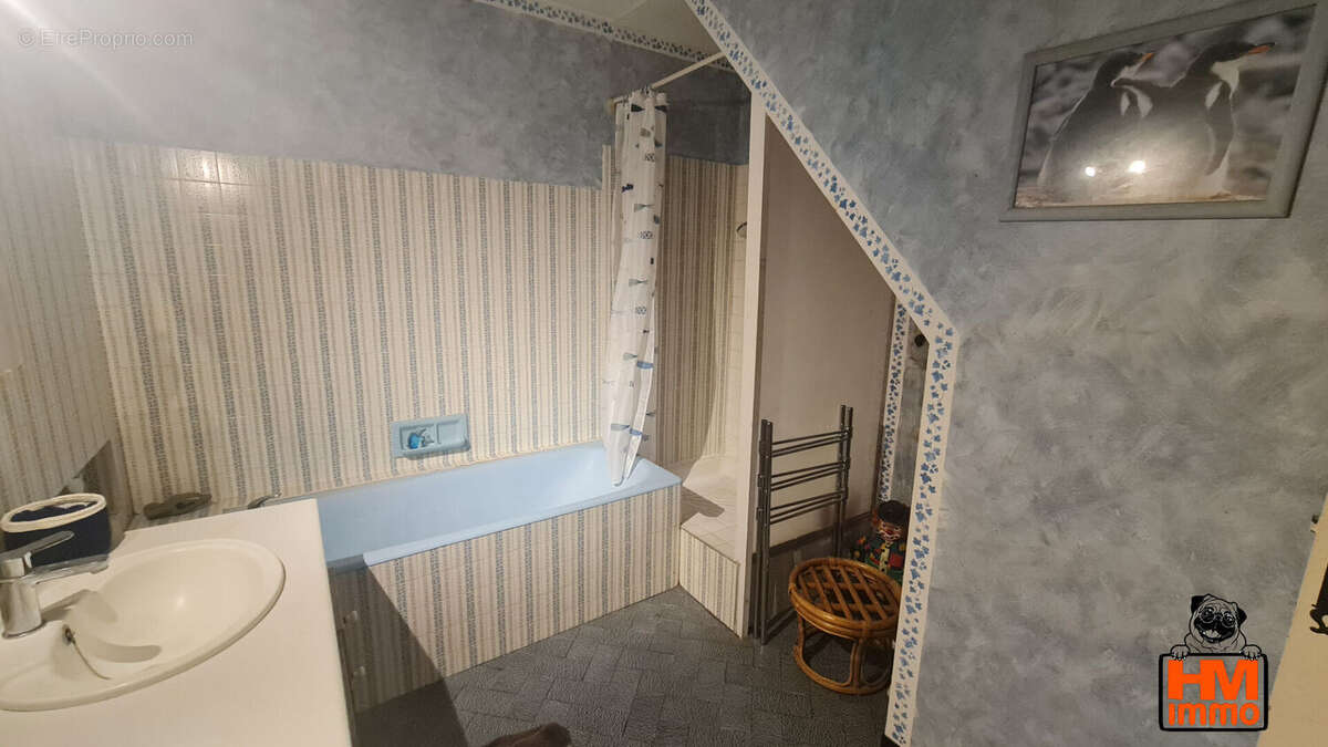 Maison à BLANZAC-PORCHERESSE