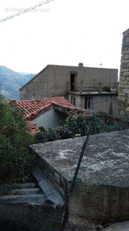Maison à OLMETO