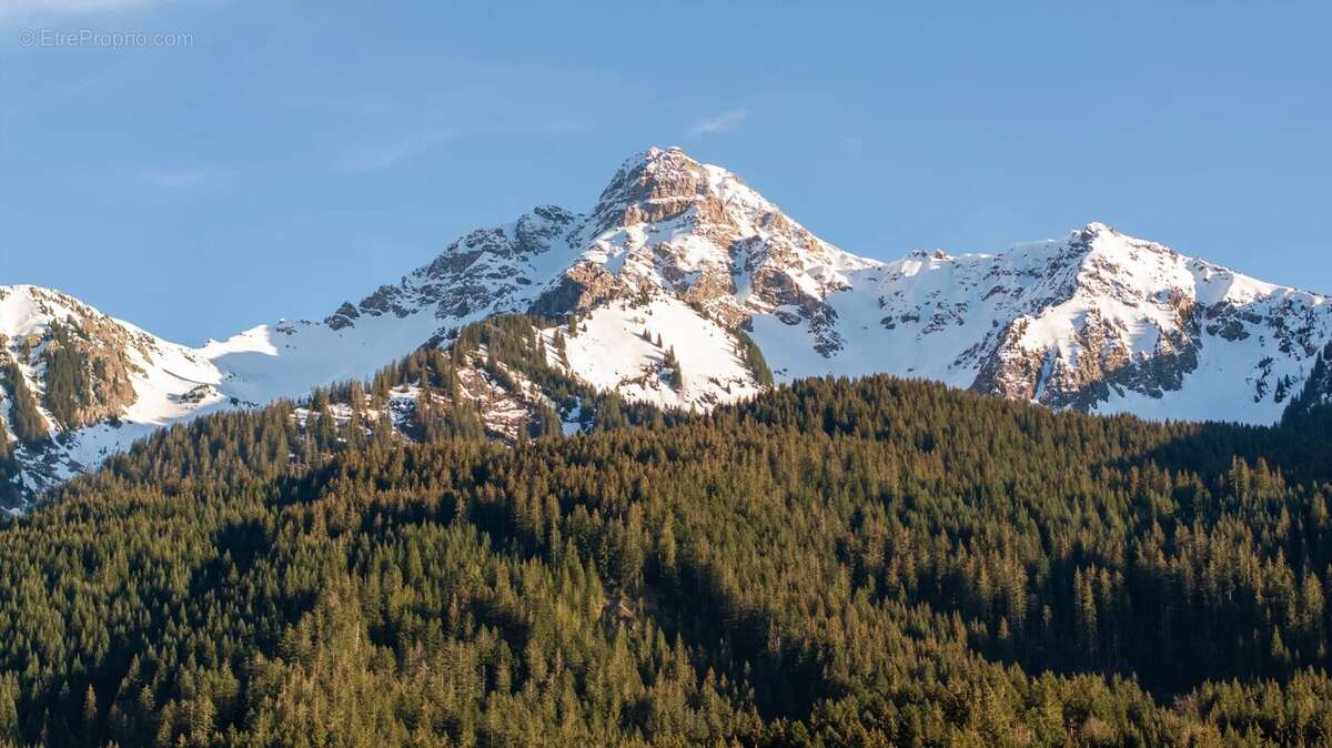 Terrain a vendre abondance - photo 6