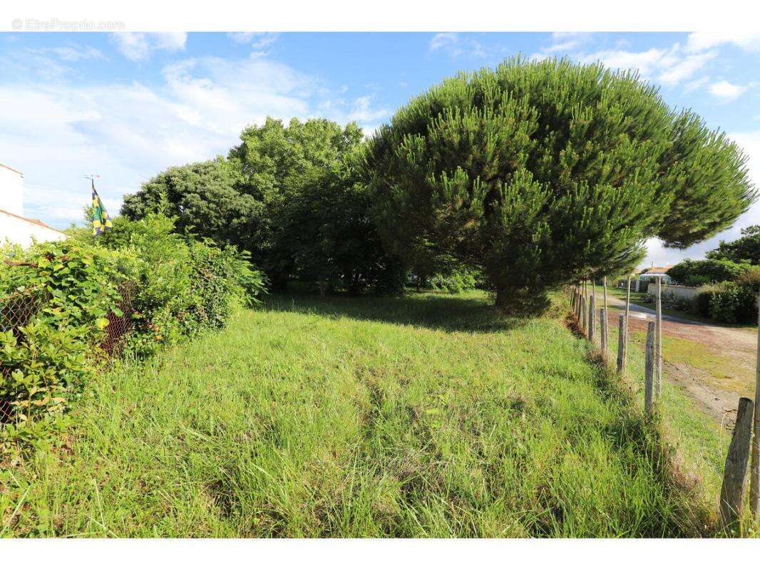 Terrain à SAINT-GEORGES-D'OLERON
