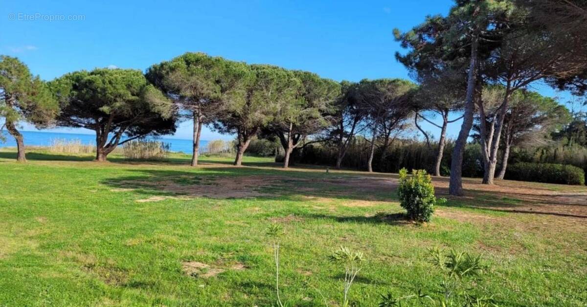 Appartement bord de mer Type 2 - photo 21