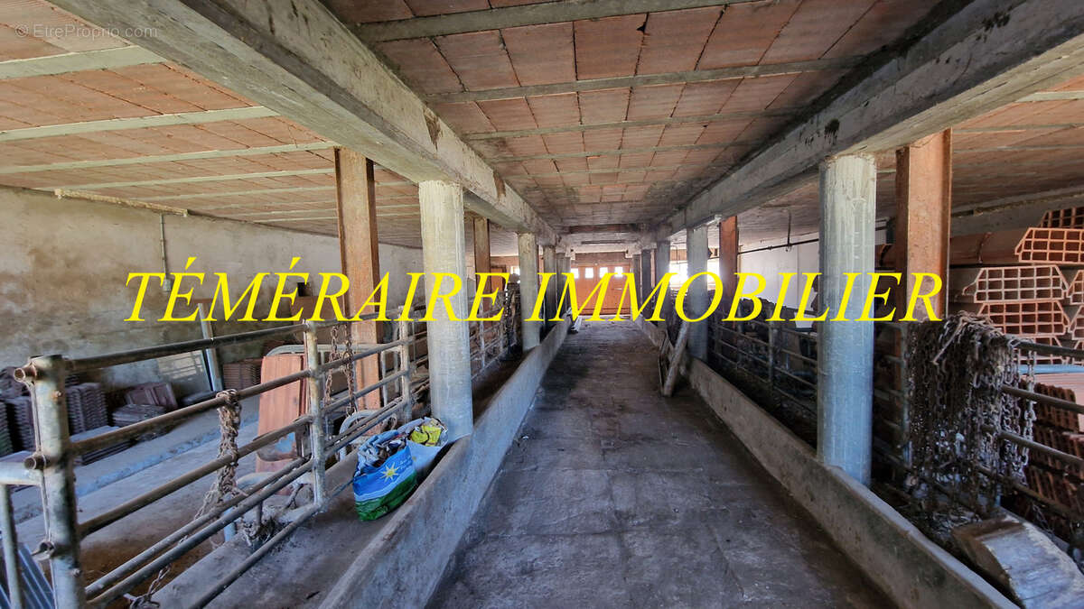 Maison à MONT-SUR-MONNET