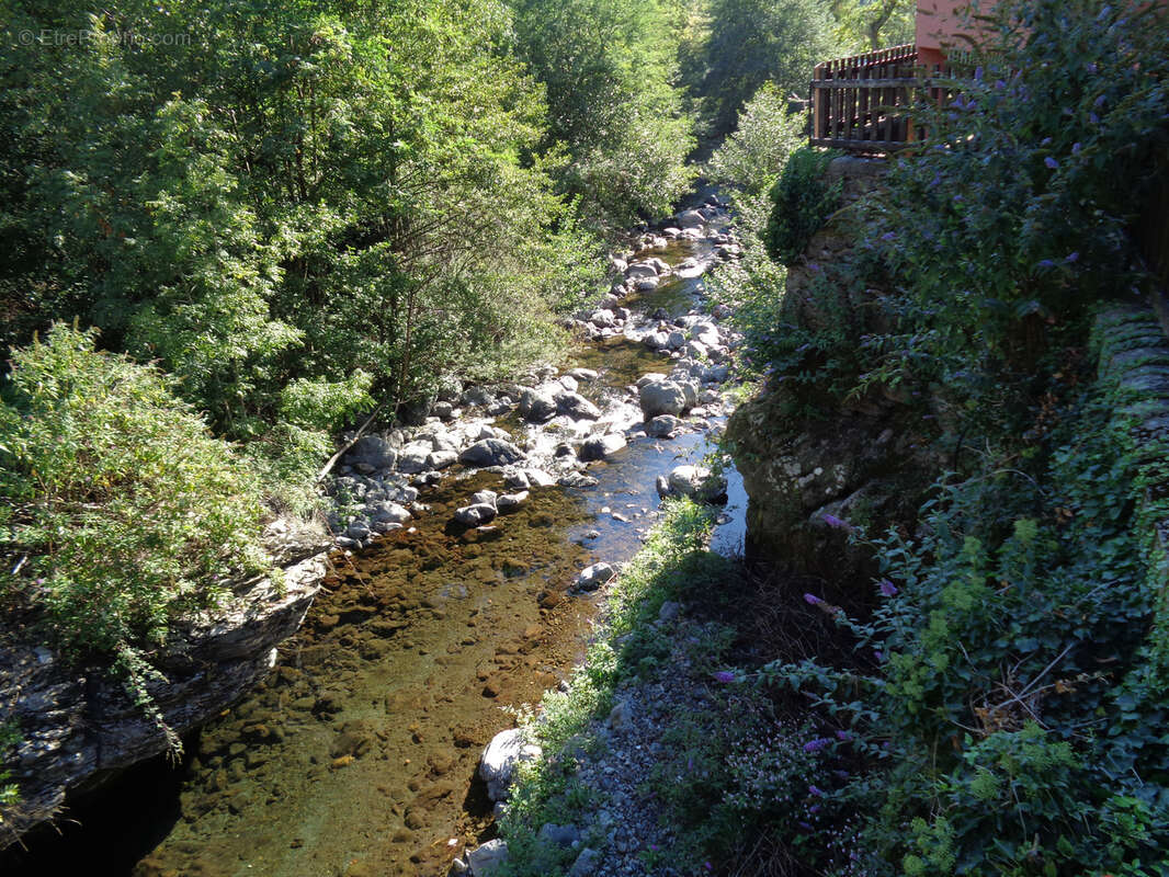 Commerce à DOURBIES