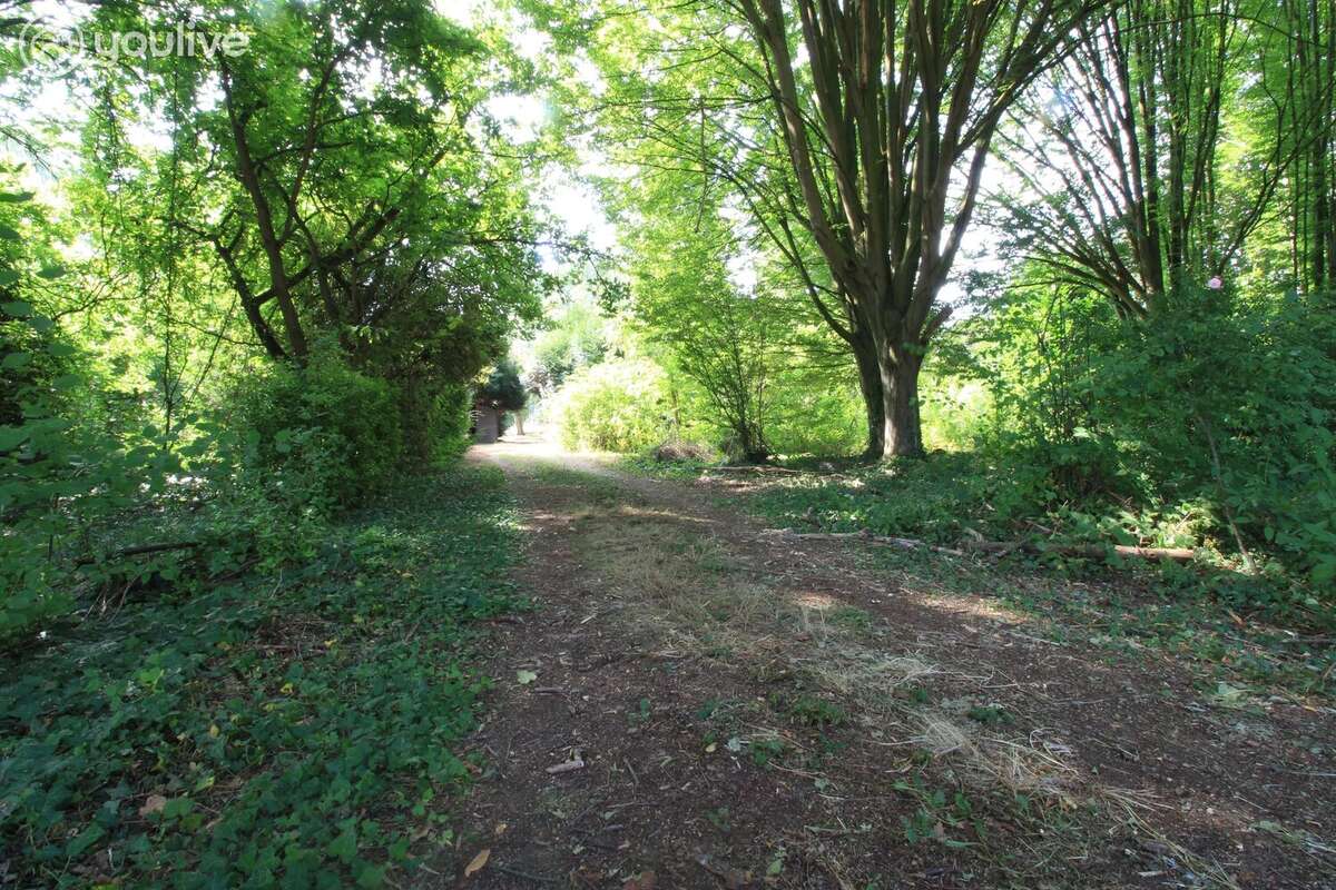 Propriété d'architecte de 316 m² sur un terrain de 14000 m² - photo 7