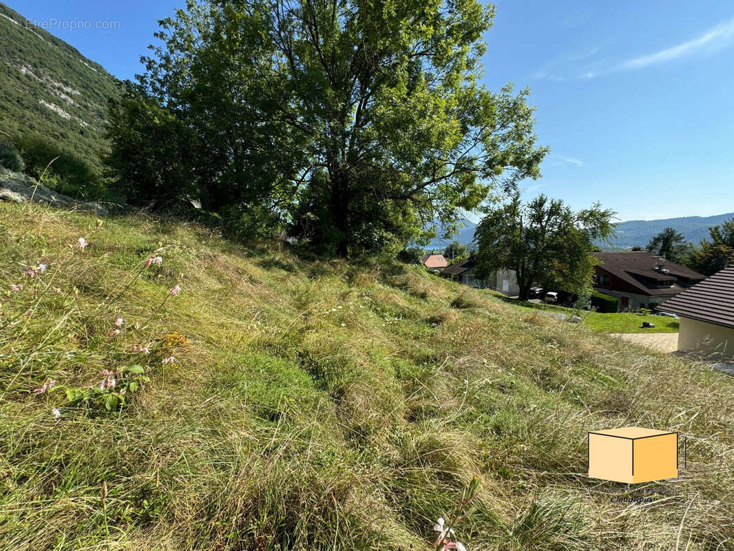 Terrain à CHINDRIEUX