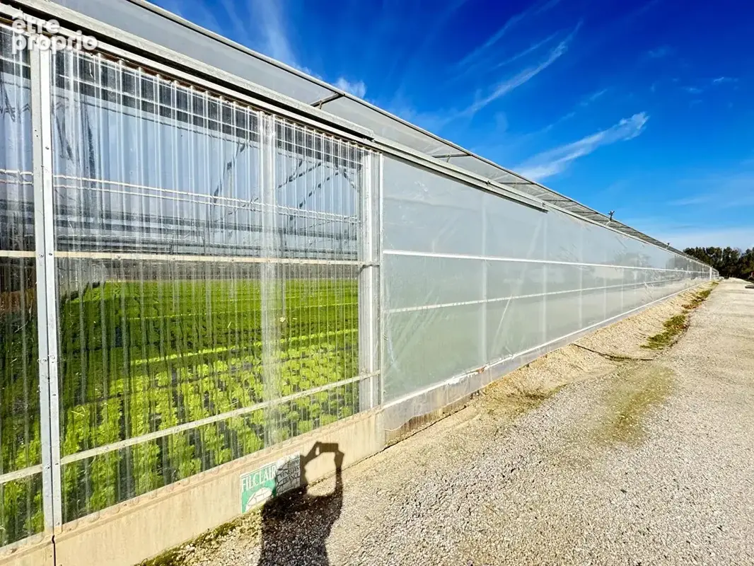 Domaine agricole Bompas et Villelongue de la Salanque 31000 m2 - photo 2