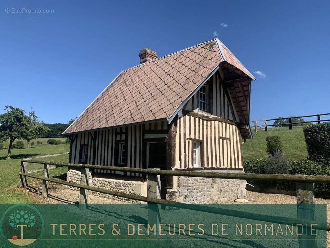 A vendre dans le PAYS D'AUGE du CALVADOS, secteur LISIEUX, haras d'élevage de chevaux sur une surface de 48 ha. - photo 4
