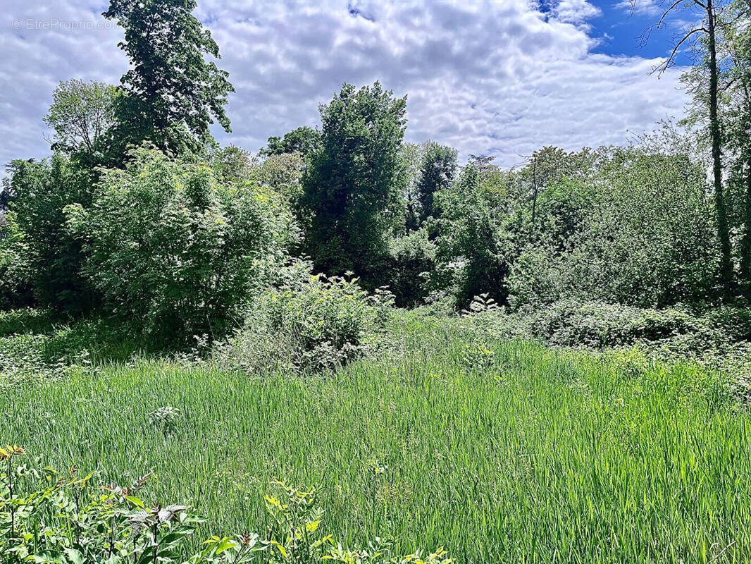 Terrain à PESCHADOIRES