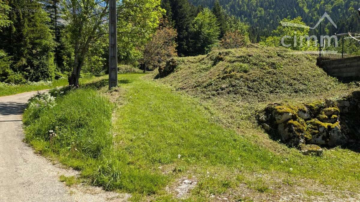 Terrain à SAINT-PIERRE-DE-CHARTREUSE